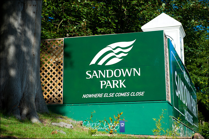 Sandown Park Esher