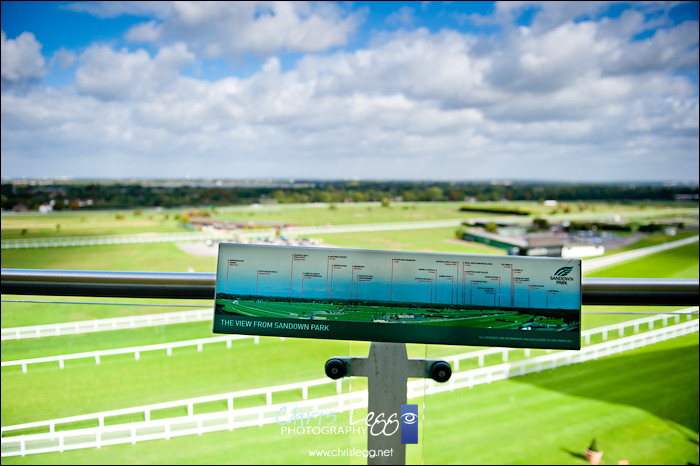 Sandown Park Esher