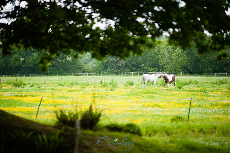 Wedding Photography at Culeaze House in Dorset