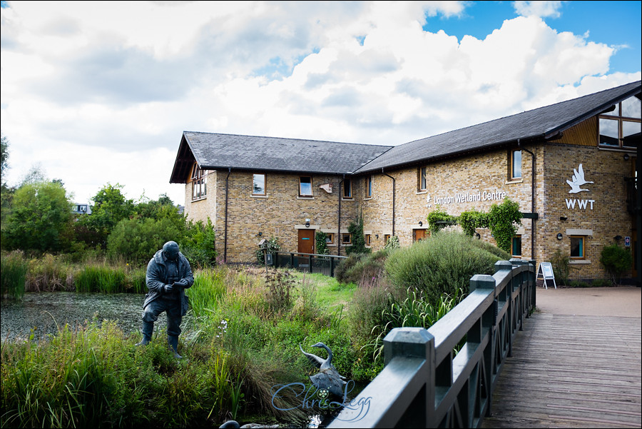 London Wetland Centre Wedding Photography 110