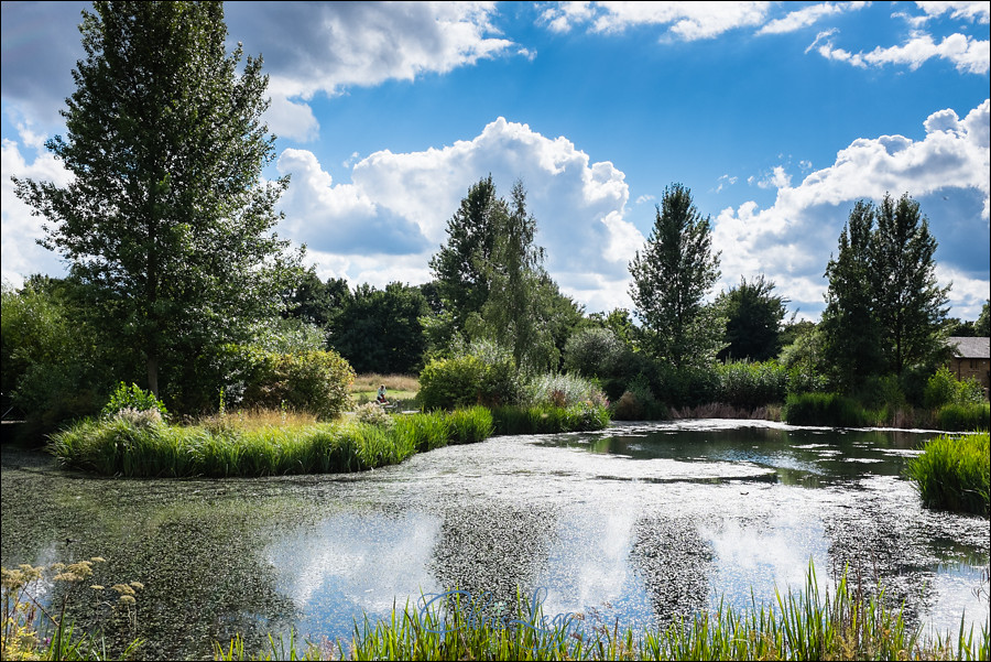 London Wetland Centre Wedding Photography 112