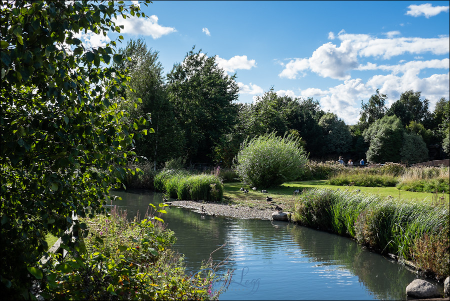 London Wetland Centre Wedding Photography 140